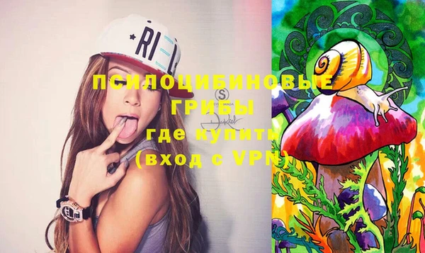 шишки Абинск