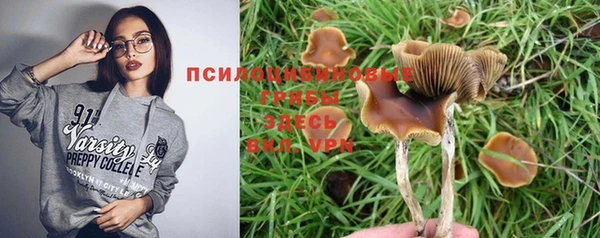 шишки Абинск