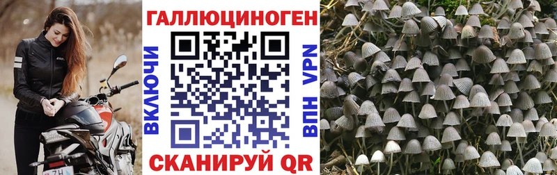 Псилоцибиновые грибы мицелий  Ялта 
